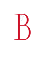 MB-IMPORT - logo white